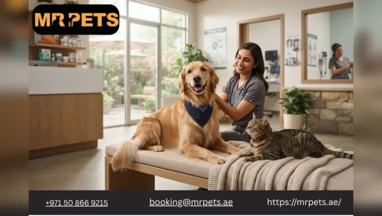 Evolution of Pet Care in 2026