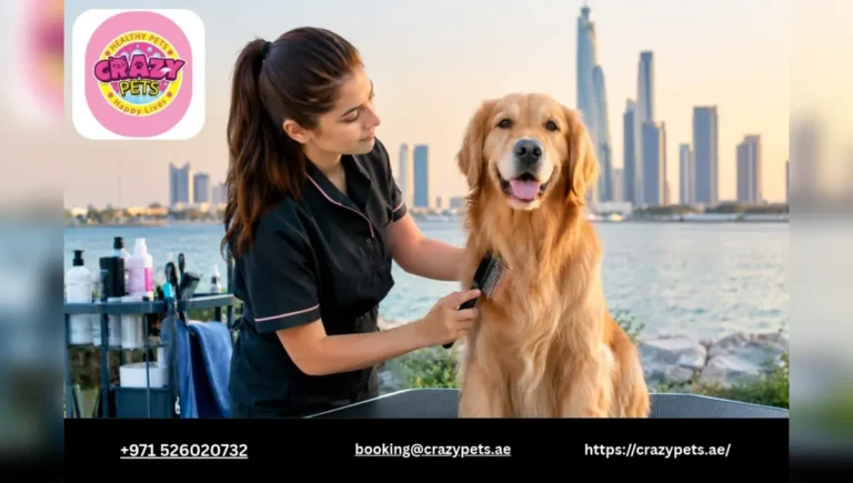 A Breed-by-Breed Guide to Dog Grooming Needs in Abu Dhabi