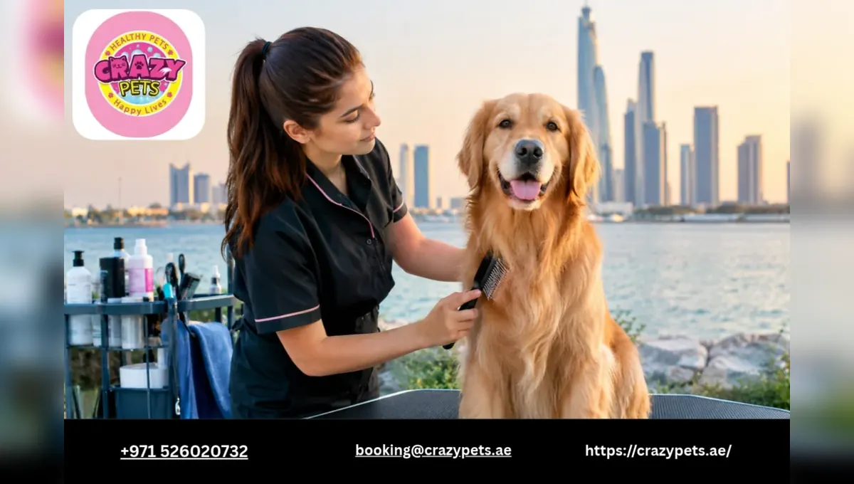 A Breed-by-Breed Guide to Dog Grooming Needs in Abu Dhabi